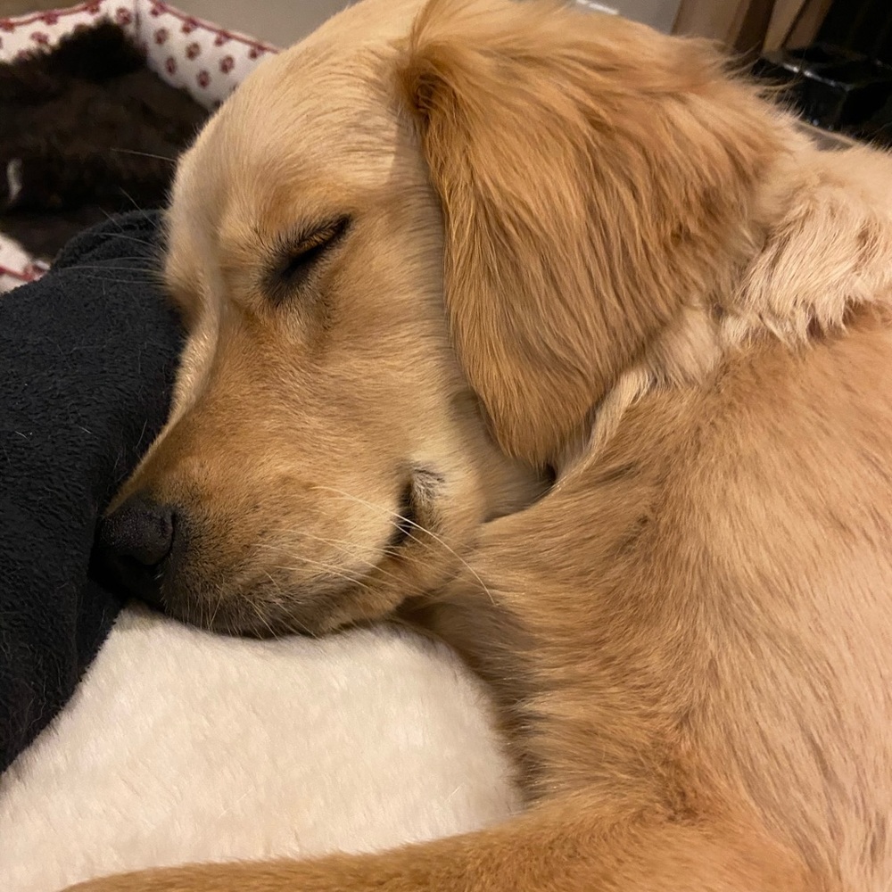 Meet your Posher, Erica